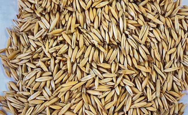 पटना : सरकारी केंद्र पर धान बेचने में किसानों की कम दिलचस्पी