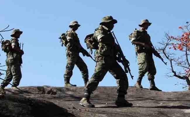 सीमा पर राज्य पुलिस संग मिल कर पशु तस्करी रोकेगी बीएसएफ