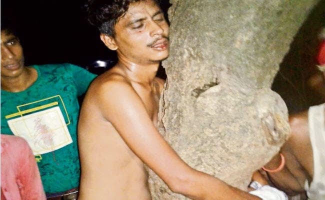 गोपालगंज : मोबाइल छीनने के आरोप में युवक को पेड़ से बांध पीटा