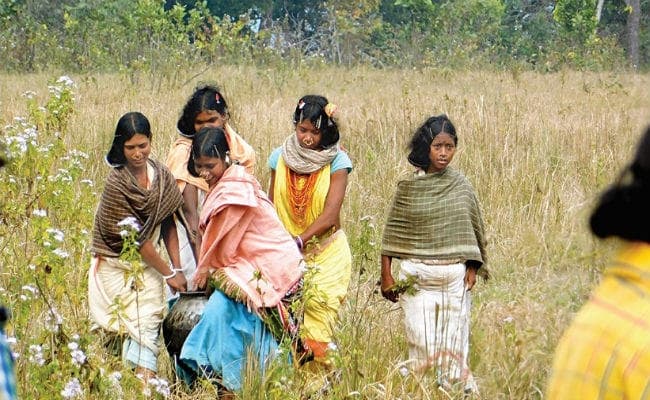 आदिवासी जीवन: जंगल और पहाड़ सबकुछ हैं हमारे लिए