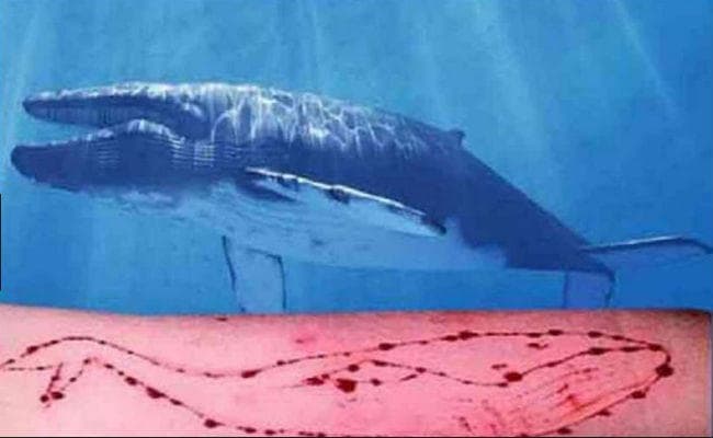 Blue Whale Game का नया शिकार बना पुणे का युवक, पढ़ें पूरी खबर…
