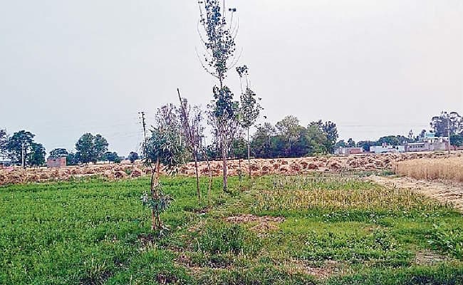 पटना : 12 हजार जल निकायों को मिलेगा जीवनदान, किया जायेगा जीर्णोद्धार