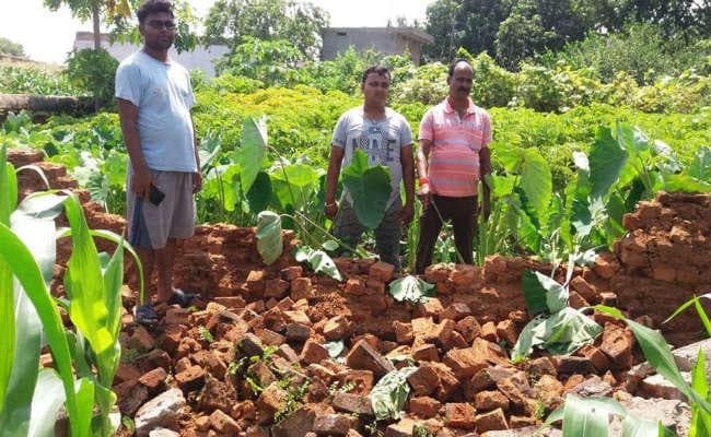 कुजू : चैनपुर में हाथियों के झुंड ने किया फसलों को बर्बाद, घर की चहारदीवारी तोड़ी
