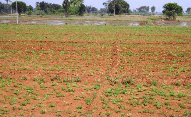 पटना : सीएम ने जमीन बिक्री को लेकर की पहल, जमीनधारक के नाम से ही होगी अब जमाबंदी