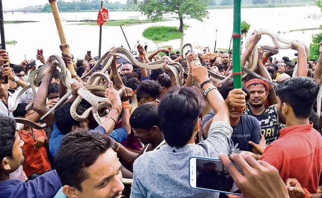 रोसड़ा : विषहरी पूजा पर कुछ ऐसे लगा सांपों का मेला