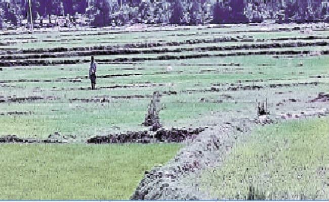 पहले कृषि थी सहारा, अब उससे हो नहीं रहा गुजारा