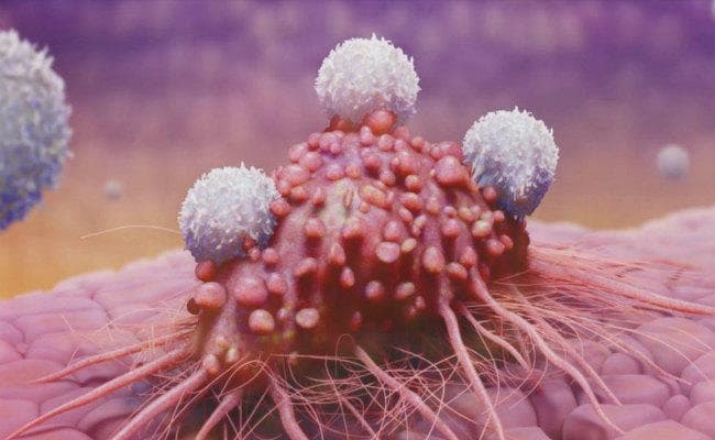 धुआं रहित तंबाकू का उपयोग 90 प्रतिशत मुंह के कैंसर का प्रमुख कारण : विशेषज्ञ