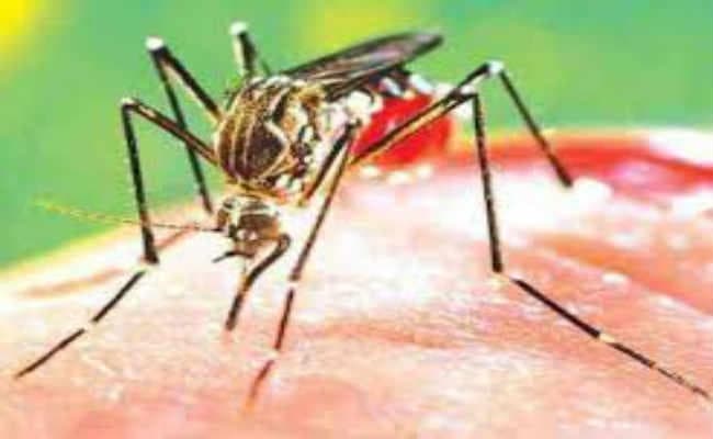 अलीपुरद्वार जिले में डेंगू मरीजों की संख्या बढ़कर हुई 100