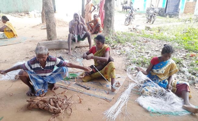 कुचाई : पेड़ की छाल से रस्सी बनाकर जीवन गुजार रहे है बिरहोर बस्ती जोड़ा सरजम के लोग