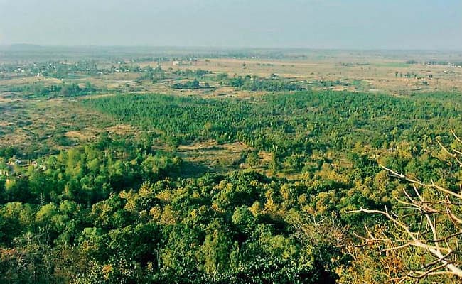 हजारीबाग में जमीन घोटाला: वन भूमि की खरीद-बिक्री में नेता और अफसर भी