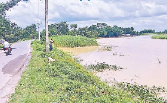 नेपाल में हो रही बारिश से नदी का बढ़ता जा रहा जलस्तर, तटबंधों पर बढ़ा दबाव