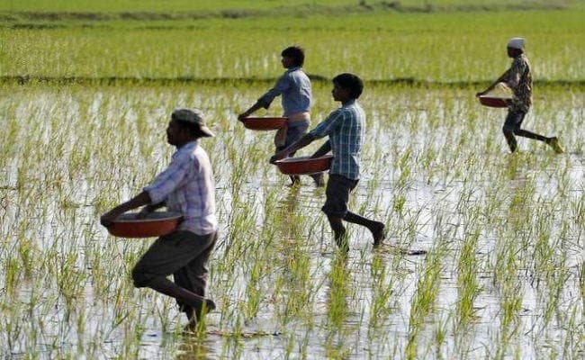 अब खेतों में काम करने वाले कामगार और घरेलू सहायकों को भी मिलेगा न्यूनतम वेतन का अधिकार