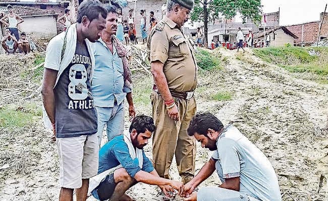 सीतामढ़ी में जमुरा नदी किनारे दिखे दो बाघ, लोगों ने मशाल जला कर खदेड़ा