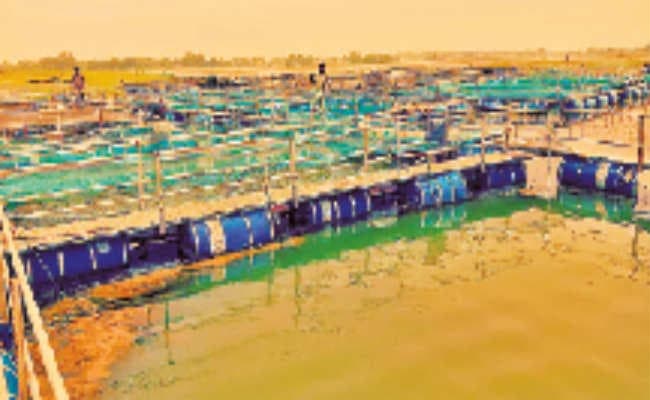 करोड़ों खर्च, नतीजा सिफर, मछली पालन के लिए 1.26 करोड़ से बना केज हुआ बेकार