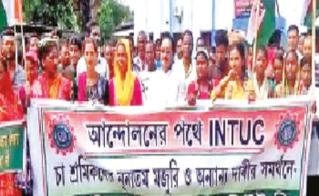 चाय बागान श्रमिकों ने निकाली रैली