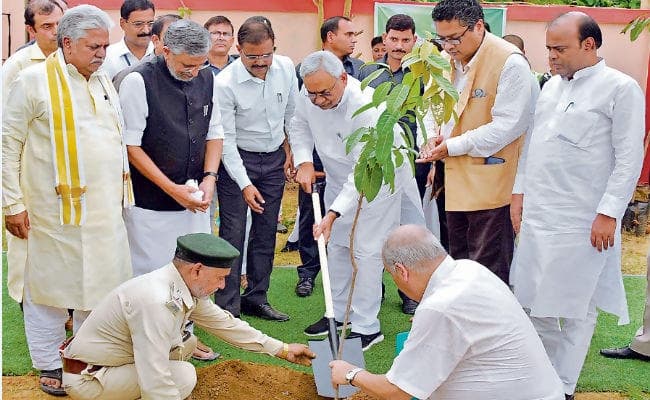 वन महोत्सव का शुभारंभ, 15 तक लगेंगे डेढ़ करोड़ पौधे, मुख्यमंत्री बोले, पर्यावरण के संरक्षण में नजीर बनेगा बिहार