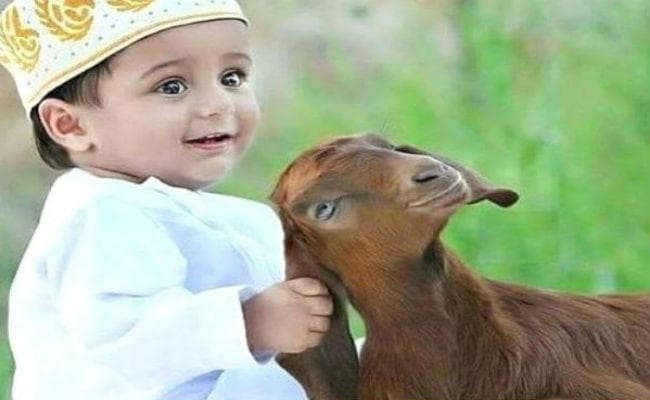 Bakrid के चांद के हुए दीदार, 12 अगस्त को मनेगी Eid ul Adha