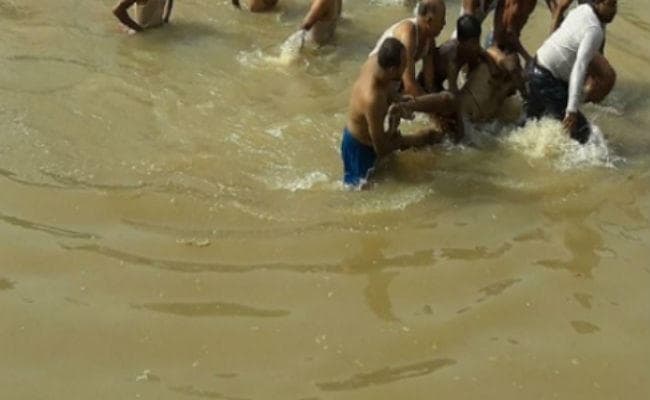 उत्तर बिहार में डूबने से 11 लोगों की गयी जान