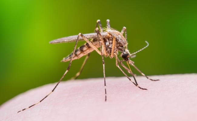 डेंगू ने ली दो की जान