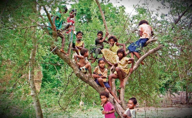 विश्व आदिवासी दिवस 2019 : झारखंड में सर्वाधिक आदिवासी रांची में