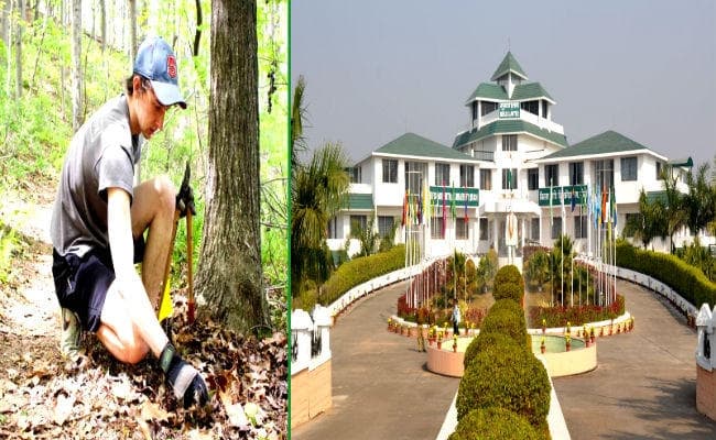 वन संरक्षण और जैव विविधता को बचाए रखने के लिए वानिकी में प्रोफेशनल्स की है जरुरत, यहां लें दाखिला