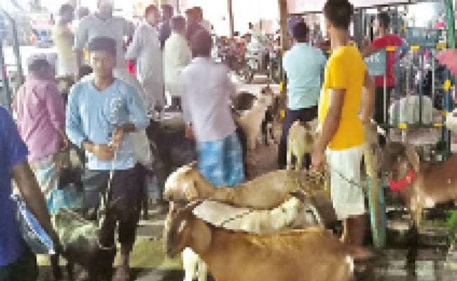 कुर्बानी के लिए 50 हजार में बिका ‘शेरा’