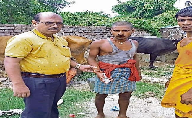 मेन रोड पर गाय को दे रहा था ऑक्सीटोसिन इन्जेक्शन, 100 लीटर दूध सड़क पर बहाया