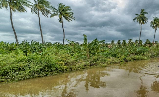 केरल बारिश : मृतकों की संख्या 76 पहुंची, 2.87 लाख लोग राहत शिविरों में