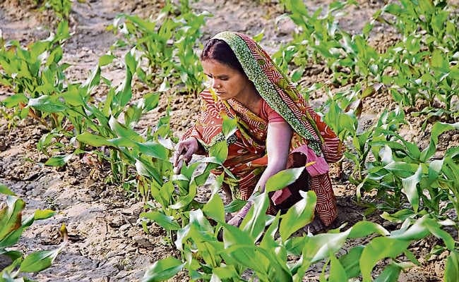 मौसम के अनुरूप खेती पर सरकार देगी सहायता