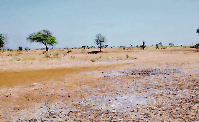 प्रदेश के छह जिलों में सूखे के गंभीर हालात, दक्षिणी ही नहीं, इस बार उत्तरी बिहार के कई जिले सूखे की चपेट में