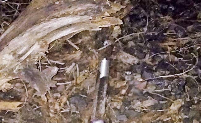 लखीसराय : पटरी पर गिरा पेड़, युवक की सतर्कता से टला हादसा