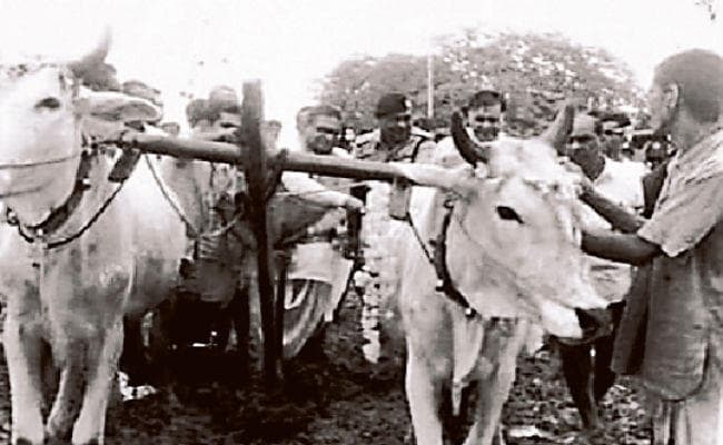 मधुबनी : जब डॉ जगन्नाथ मिश्र ने सीएम रहते चलाया था हल, दिया था बड़ा संदेश