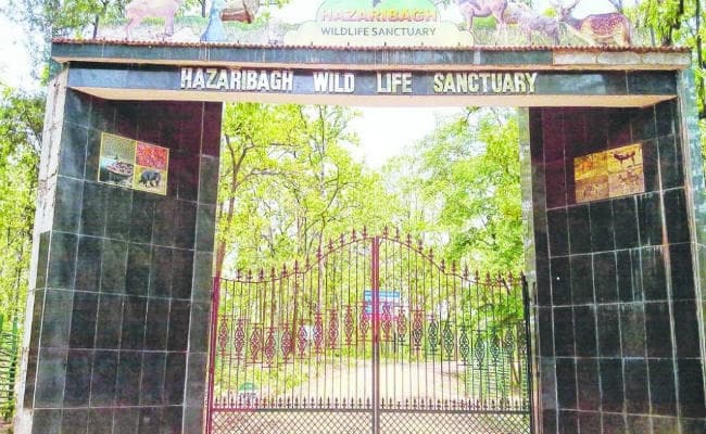 रांची : पारसनाथ समेत आठ वाइल्ड लाइफ सैंक्चुरी इको सेंसिटिव जोन घोषित