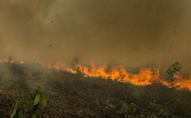 अमेजन आग: जनजातीय प्रमुख राउनी ने राष्ट्रपति जेयर पर साधा निशाना
