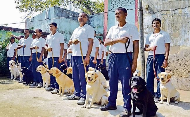 बिहार : एसी कार में चलेगा सीआइडी का डॉग स्क्वायड, एक कुत्ते पर हर माह खर्च होते हैं डेढ़ लाख रुपये