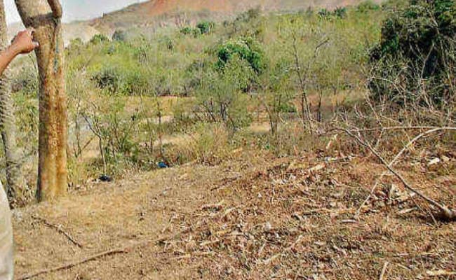 बिहार में बेनामी संपत्ति मामले में सबसे बड़ी कार्रवाई, थाई व्यवसायी ने बोधगया में दलितों से छह बीघे जमीन लिखवायी, हुई जब्त