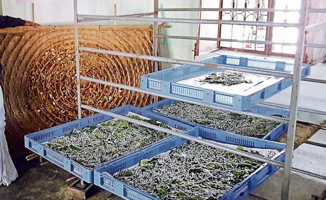 अब सुपौल में ही तैयार होगी रेशम की साड़ी