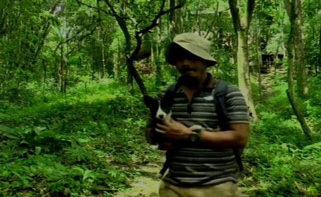 मणिपुर: पर्यावरण प्रेम में मोइरंगथेम ने नौकरी से दिया इस्तीफा, 17 साल में तैयार कर दिया 300 एकड़ का जंगल