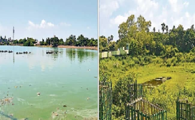 जल संकट : नगर निगम ने खाेजे शहर के 12 तालाब