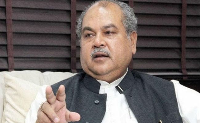 कृषि मंत्री को खरीफ फसल का बंपर उत्पादन होने की उम्मीद, 30 अगस्त तक 354.84 लाख हेक्टेयर में रोपा गया धान