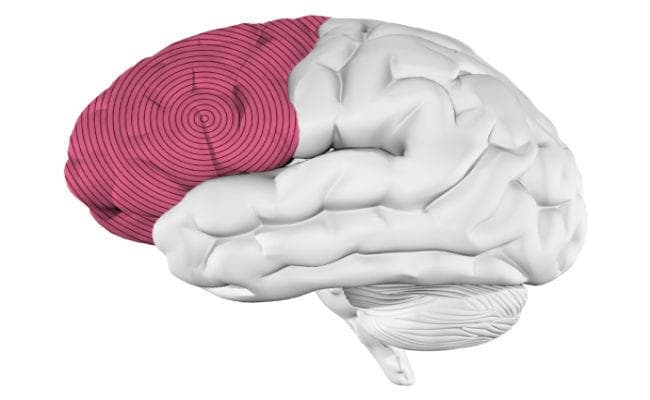 Research: संगीत सुनना आैर उसे याद करना, दो अलग-अलग दिमागी प्रक्रिया