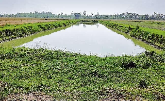 पटना : पानी बचाने व हरियाली लाने पर खर्च होंगे 24 हजार करोड़