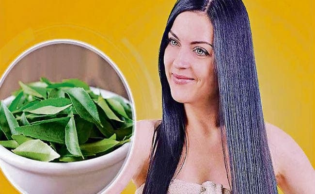 कई तरह के पोषक तत्वों से भरपूर है करी पत्ता, बालों के लिए है वरदान
