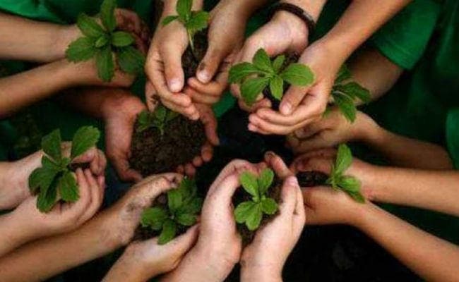 इफ्को ने प्रधानमंत्री नरेंद्र मोदी के जन्मदिन पर लगाए सात लाख पौधे