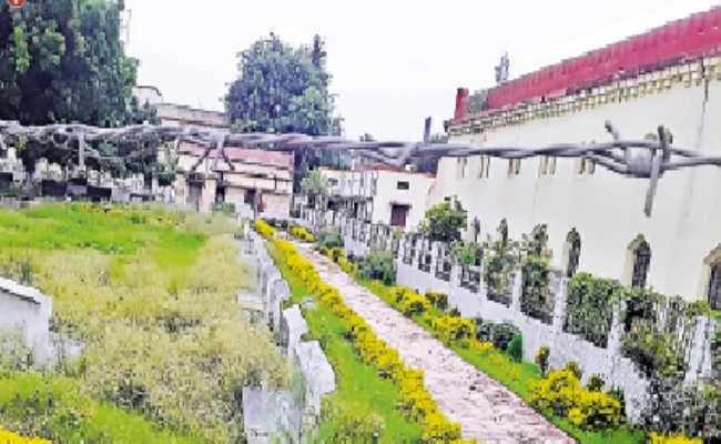 बनना था सुसज्जित पार्क, तब्दील हुआ जंगल में