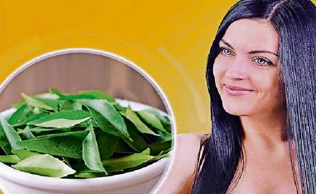 पोषक तत्वों से भरपूर है करी पत्ता, लीवर को बचाता है क्षति से, ब्लड शूगर को रखता है नियंत्रण में