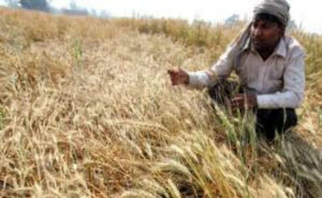 हजारों किसानों को प्रधानमंत्री किसान सम्मान योजना का नहीं मिला लाभ