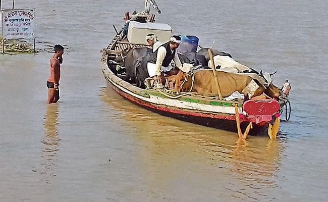 बख्तियारपुर : पूरा दियारा क्षेत्र जलमग्न, सैकड़ों एकड़ फसल हुई बर्बाद