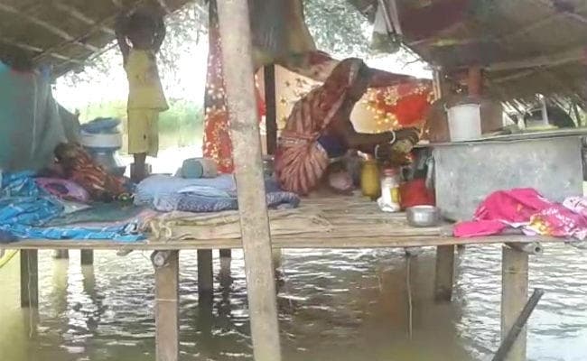 साहिबगंज : बाढ़ प्रभावित क्षेत्र के लोगों के लिए उज्जवला गैस बना सहारा, लोग मचान पर बना रहे खाना