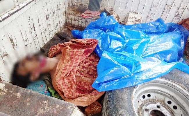 पश्चिम चंपारण : बाघ ने वन पोषक सोहन को मार डाला, मनरेगा के वृक्ष की रखवाली के दौरान बनाया शिकार